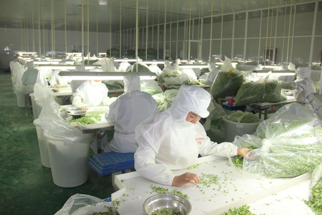 益匹马食品有限公司小香葱加工车间一角.jpg