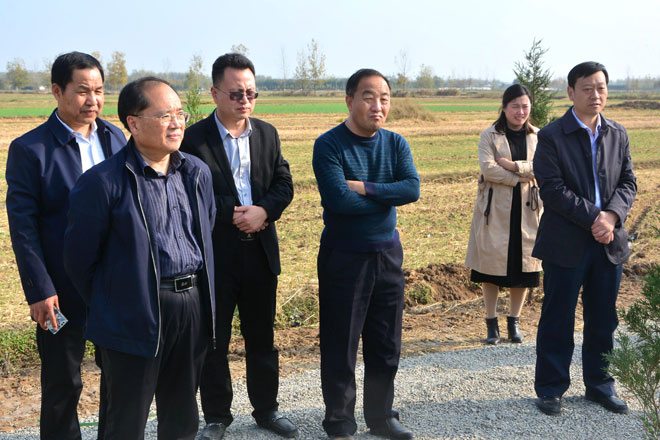 B90_8782_爱奇艺.jpg