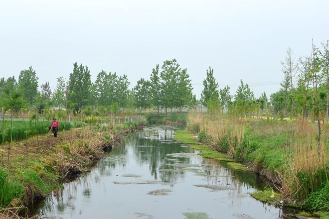 B90_2550_爱奇艺.jpg