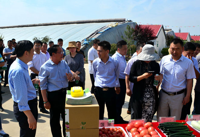B90_3978_爱奇艺.jpg