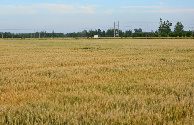 B90_4146_爱奇艺.jpg