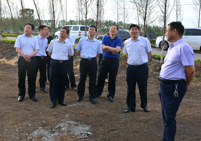 B90_4155_爱奇艺.jpg