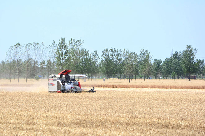B90_4755_爱奇艺.jpg