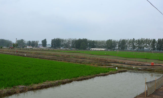 B90_5110_爱奇艺.jpg