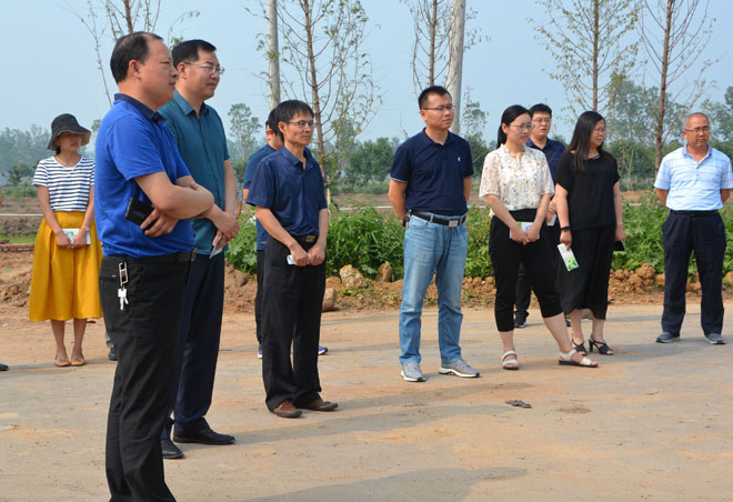 B90_5341_爱奇艺.jpg