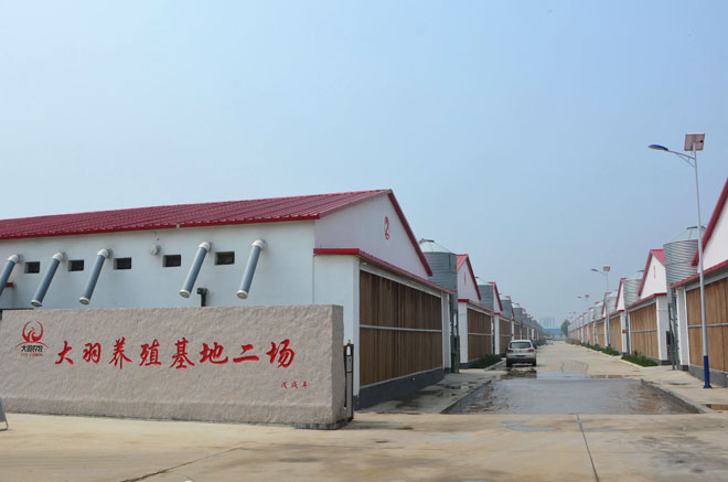 B90_5501_爱奇艺.jpg