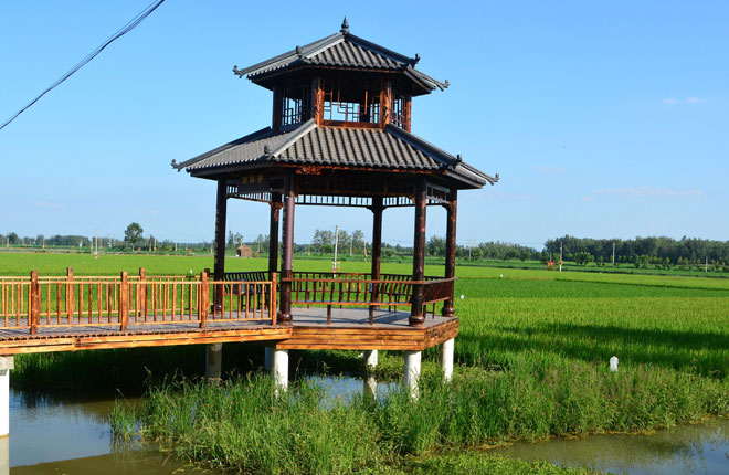B90_6794_爱奇艺.jpg