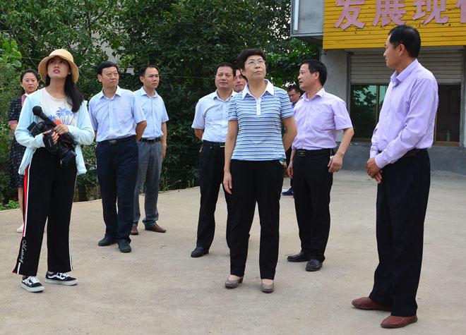 B90_6987_爱奇艺.jpg