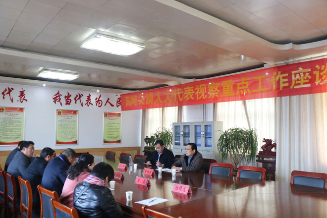 人大、政协联合视察-214.jpg