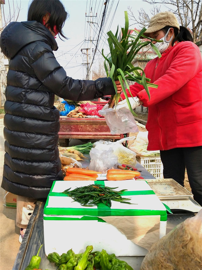 新鲜蔬菜.jpg
