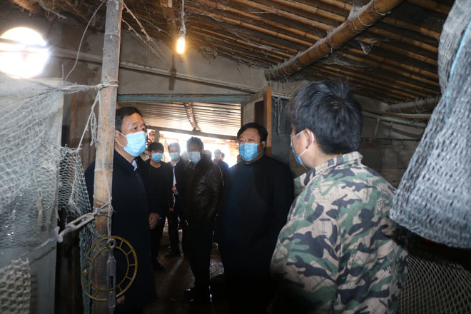 县委副书记徐波（左一）在养鸡大棚实地了解情况.jpg