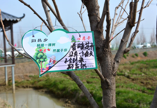 B90_1759_爱奇艺.jpg