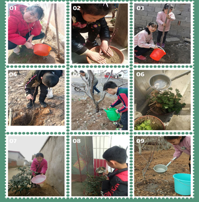播种绿色，拥抱春天--汪沟竹园小学植树节活动366.jpg