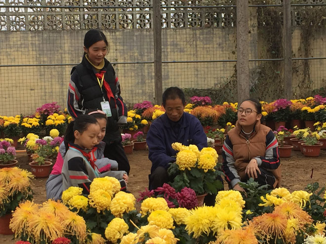 到实践基地嫁接菊花.jpg