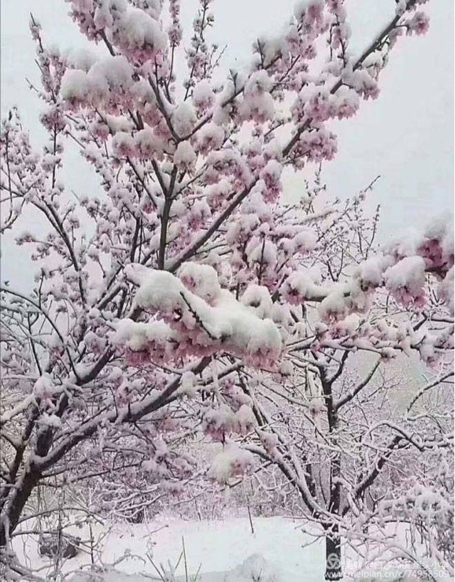风雪过后，阳光更明媚--薛敏如50.jpg