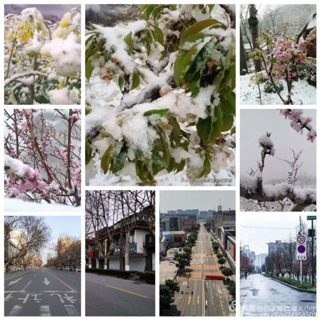 风雪过后，阳光更明媚--薛敏如231.jpg