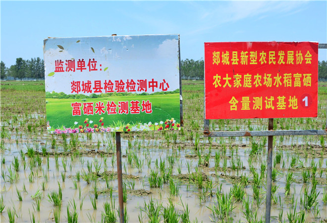 B90_5486_爱奇艺.jpg